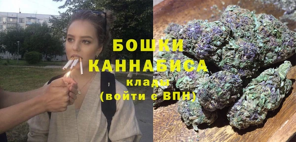 винт Арсеньев