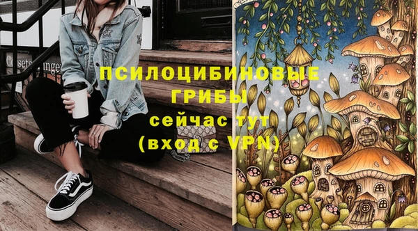 дмт Алзамай