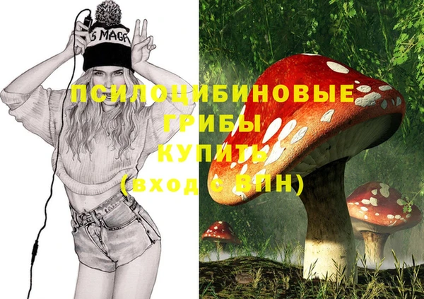 apvp Алексеевка