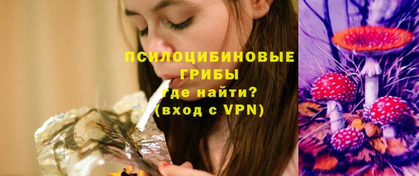 дмт Алзамай
