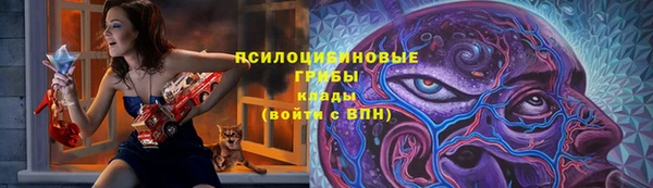 apvp Алексеевка